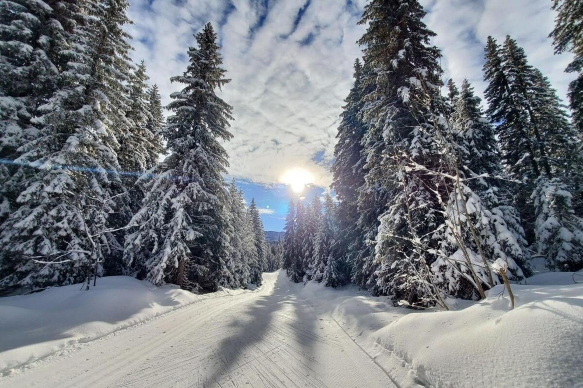 Chaleureux Studio Au Pied Des Pistes - Le Refuge Les Déserts Kültér fotó